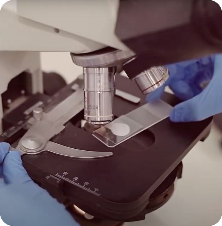 RESEARCH EXCELLENCE