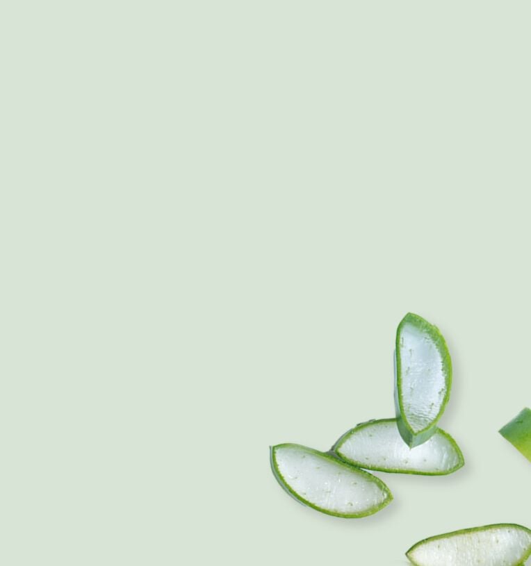 Conosci l'Aloe, la pianta dalle virtù cosmetiche prodigiose? Il suo succo contiene più di duecento sostanze funzionali che svolgono una potente azione idratante, lenitiva e restitutiva su ogni tipo di pelle. Noi di Bottega Verde abbiamo sviluppato una linea di prodotti viso e corpo con Aloe vera che si prende cura dell'idratazione della tua pelle, lasciandola morbida, protetta e rigenerata.<br><br>

<b>Scopri tutta la linea > </b>
</a>