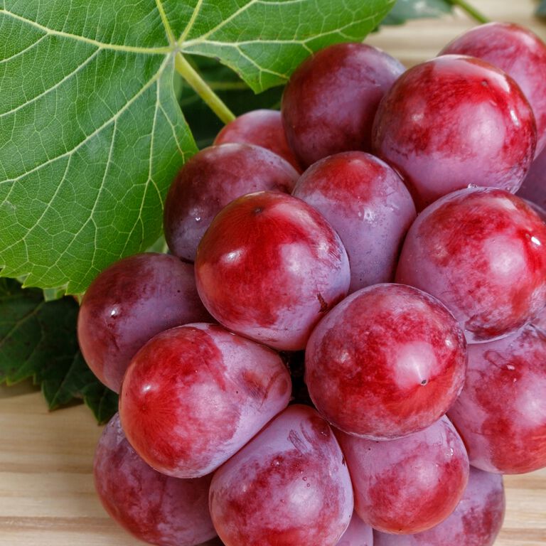 IL SEGRETO NATURALE