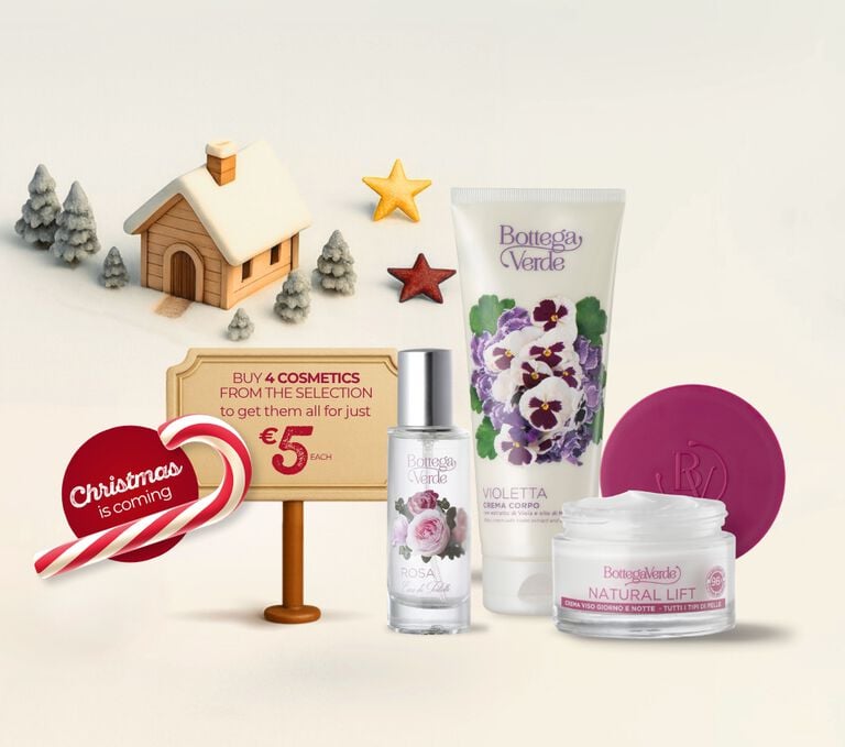 ✨ Christmas is on its way!