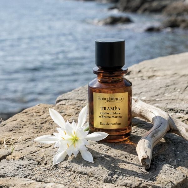 Discover the new body and home line