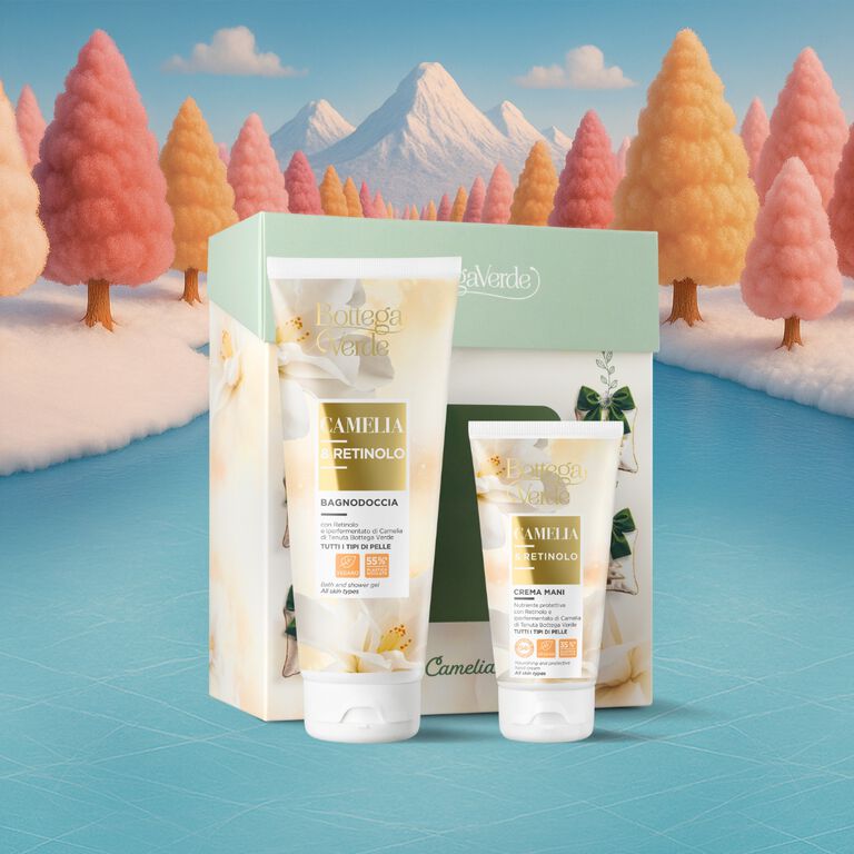 L’eleganza della Camelia 