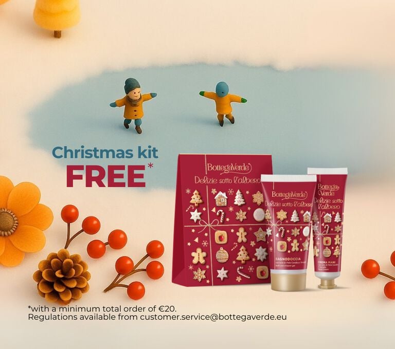 🎄 A kit with a touch of magic