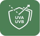 Proteggono dai raggi UVA e UVB