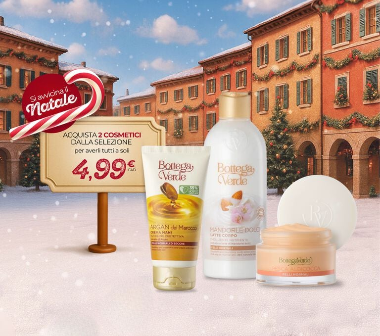 🎄 Christmas is on its way!