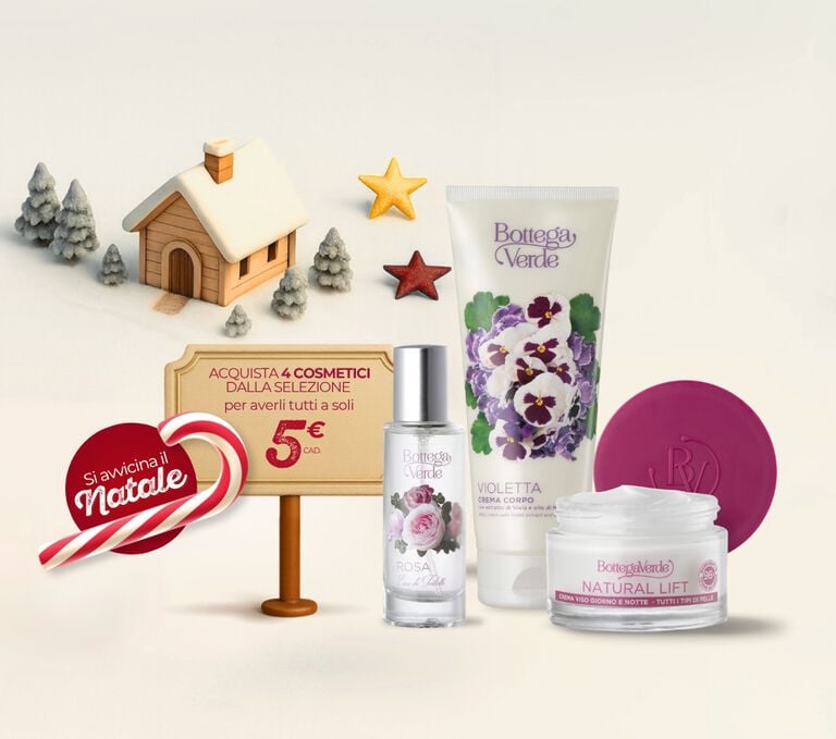 ✨ Si avvicina il Natale!