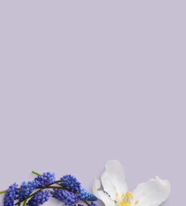 Il potere di 5 straordinari oli si fonde alle note profumate degli oli essenziali per dare vita a Oli del benessere, la linea viso e corpo Bottega Verde che <b>si prende cura della tua pelle e del tuo benessere</b> grazie alla sinergia unica e alle proprietà di uno straordinario mix di oli al servizio della tua bellezza.