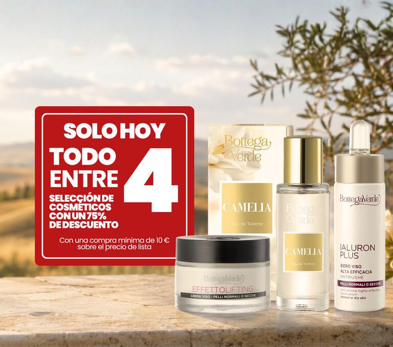 FELIZ DOMINGO SOLO HOY TODO DIVIDIDO ENTRE 4 (con un pedido m&iacute;nimo de 10 euros a precio de lista)