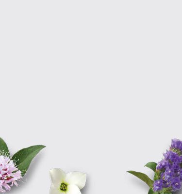 Scopri la linea viso al Bakuchiol, un principio attivo di origine naturale che rappresenta la perfetta alternativa al Retinolo. Il Bakuchiol promuove <b>un’azione antirughe, aiuta a contrastare la degradazione di Collagene ed Elastina</b> e può essere usato anche nei mesi estivi senza comprometterne la tollerabilità.