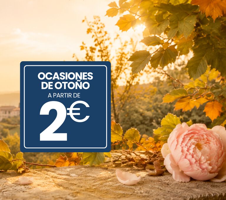 &iexcl;HACEMOS ESPACIO PARA LAS NOVEDADES DE OTO&Ntilde;O! OFERTAS DE LIQUIDACI&Oacute;N A PARTIR DE 2 EUROS