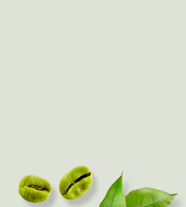 Realizzate con i migliori attivi Naturali, hanno texture per ogni esigenza
e tutti i tipi di pelle. Sono perfette se vuoi una coccola di appagante relax e morbidezza. Scegli la tua tra:<br><b>
Riequilibrante detox - Super nutriente - Effetto tensore</b>