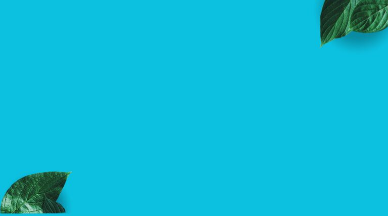 <p align="center" style="line-height:30px; color: #FFFFFF;"><strong> </strong><br><span style="font-size:26px;"><b>Scegli la tua fragranza preferita!</b></span><br><br><p align="center" style="line-height:20px;"><span style="font-size:20px;color: #FFFFFF">Acquista 2<b> bagnodoccia o shampodoccia puoi averli a soli 9,99€</b>  perchè la bellezza è un piacere alla portata di tutti!
<br><br>