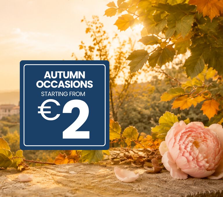 MAKE ROOM FOR AUTUMN'S NEW ARRIVALS! END-OF-LINE DEALS STARTING FROM 2 EUROS