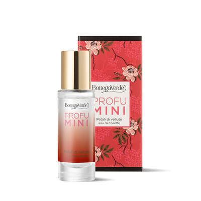 Velvet Petals (10 ml)