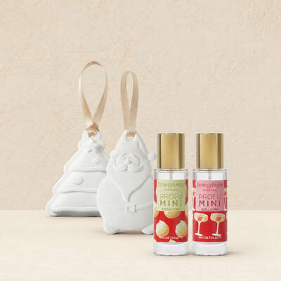 Offerta 2 ProfuMINI + 2 gessetti decorativi