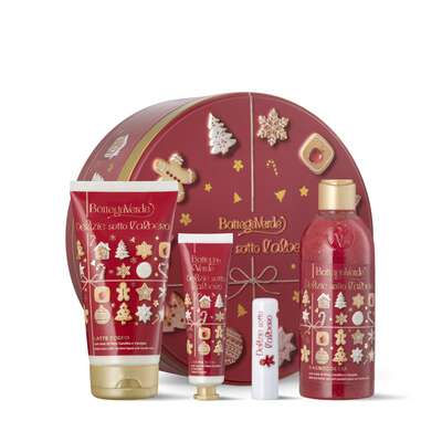 DELIZIE SOTTO L'ALBERO BISCUIT BOX