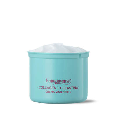 Night face cream - Improve firmness and elasticity overnight, with Phytocollagen and Skinectura - All skin types - Refill