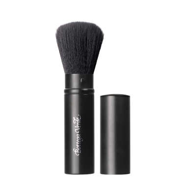 Retractable face brush