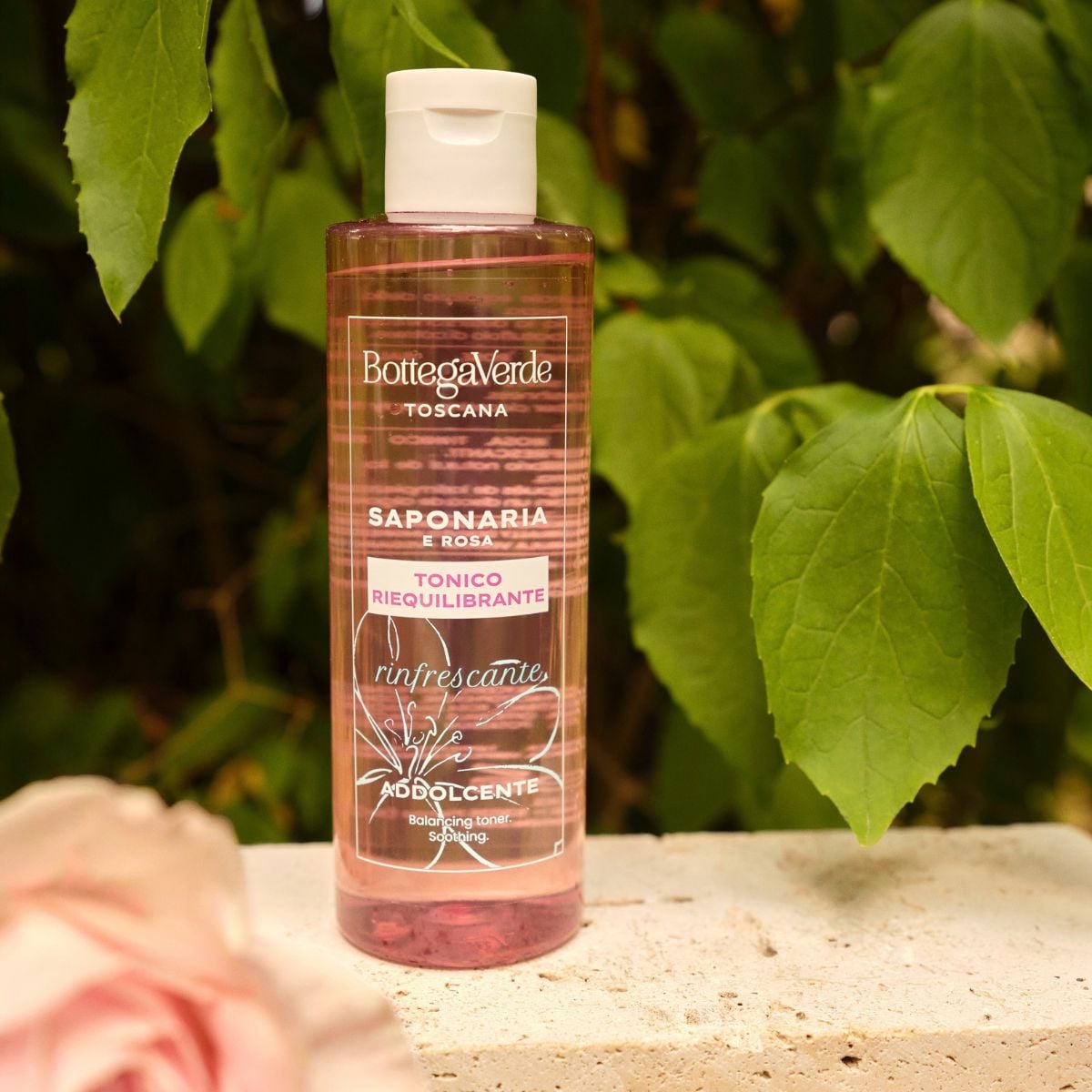 SAPONARIA AND ROSE - balancing - soothing - refreshing Toner (200 ml)