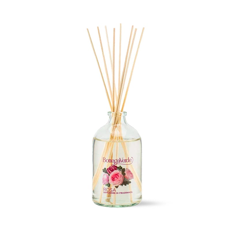 Difusor de fragancia con bastoncillos (100 ml)