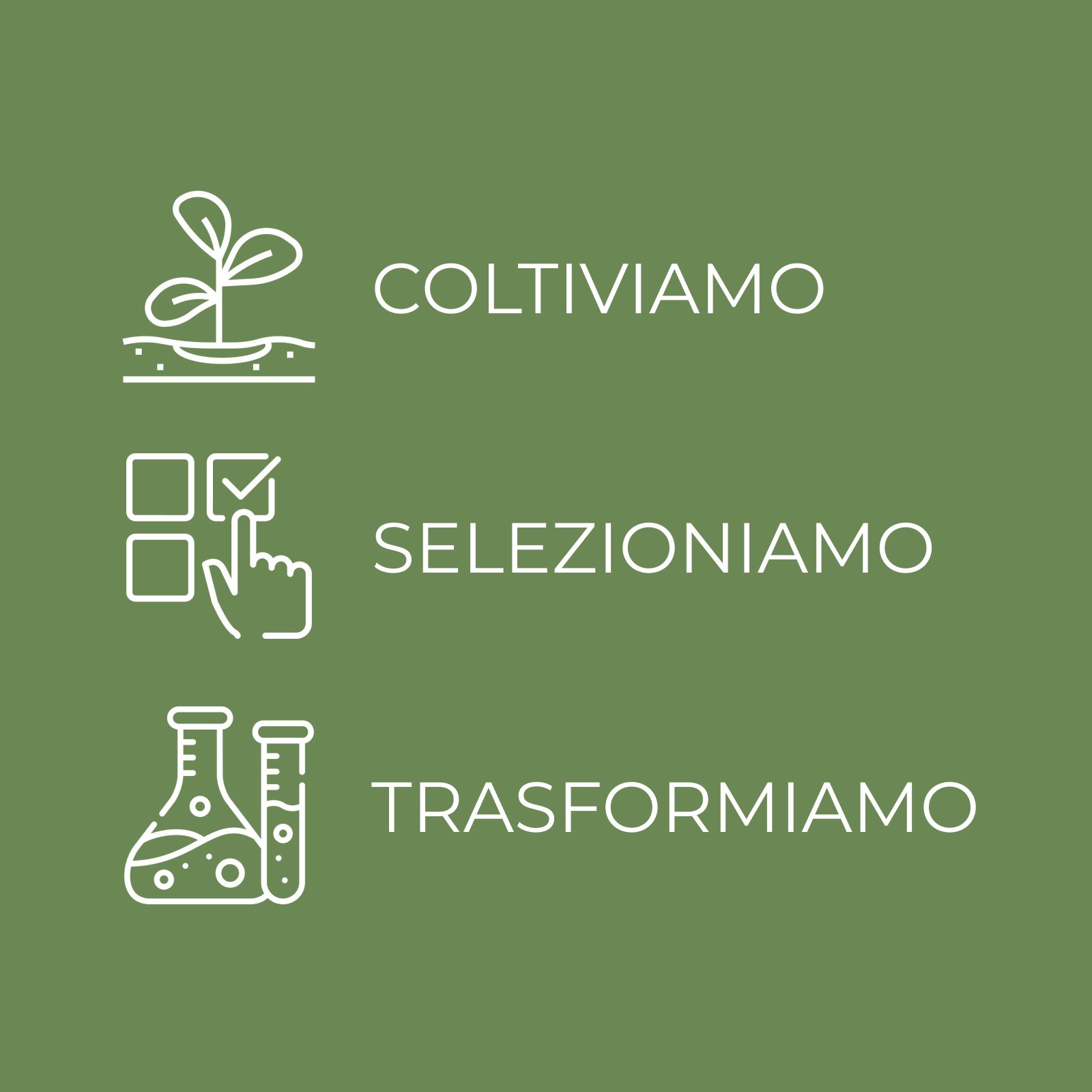 Retinolo Bv Plus - Crema viso - Formula potenziata - antirughe elasticizzante - con Pro-Retinolo, Provitagen complex e acido laluronico - pelli normali o secche