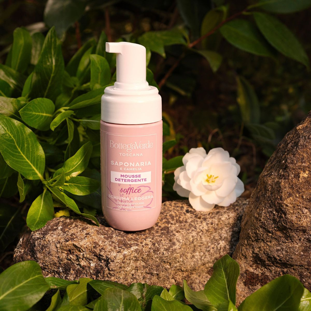 SAPONARIA AND CAMELLIA - Cleansing mousse - lightweight foam - soft (100 ml)