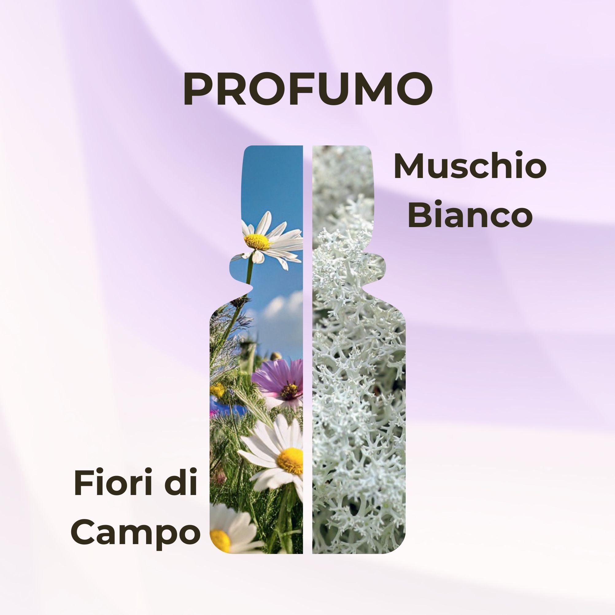 Birba - WILD FLOWERS AND WHITE MUSK - Eau de Parfum (50 ml)