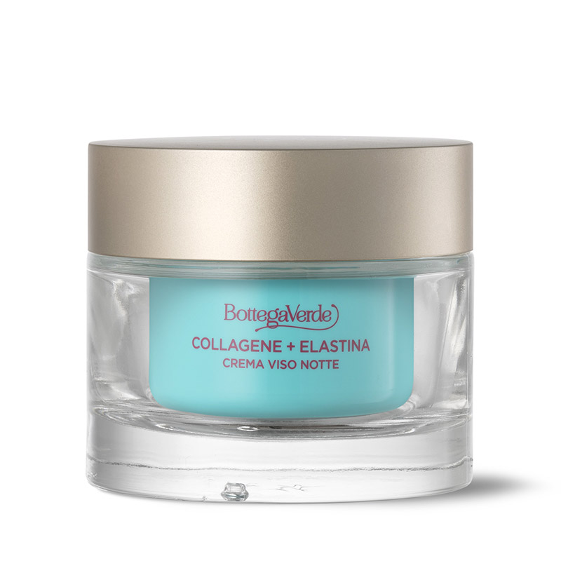 Night face cream - Elasticizing booster - with Phytocollagen and Skinectura (50 ml) - all skin types