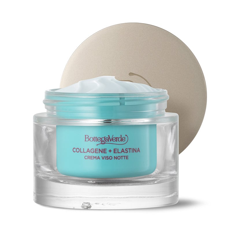 Night face cream - Elasticizing booster - with Phytocollagen and Skinectura (50 ml) - all skin types