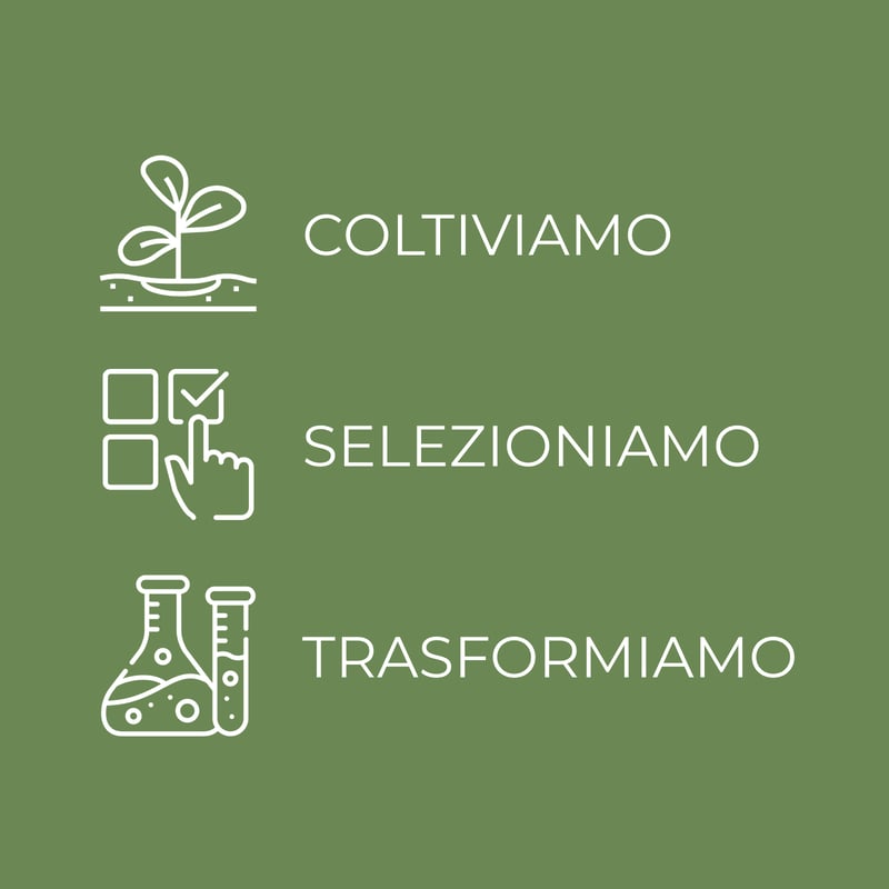 MAR MORTO - Serum with toning salts - 10% Dead Sea Salts, Centella Asiatica and Brown Algae (100 ml) - skin reshaping