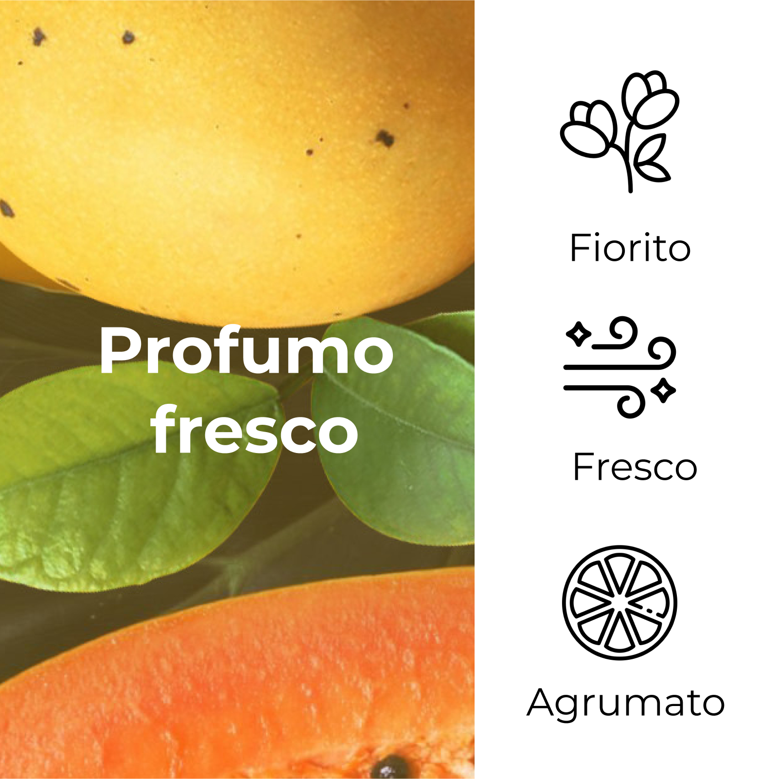 SOL Sempre Estate - Self-tanning face cream with Papaya and Mango extracts (50 ml) - for a natural, golden tan all year round