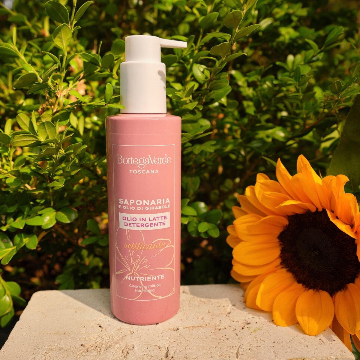 SAPONARIA and SUNFLOWER OIL - Cleansing milk oil - silkening, nourishing - (200 ml)