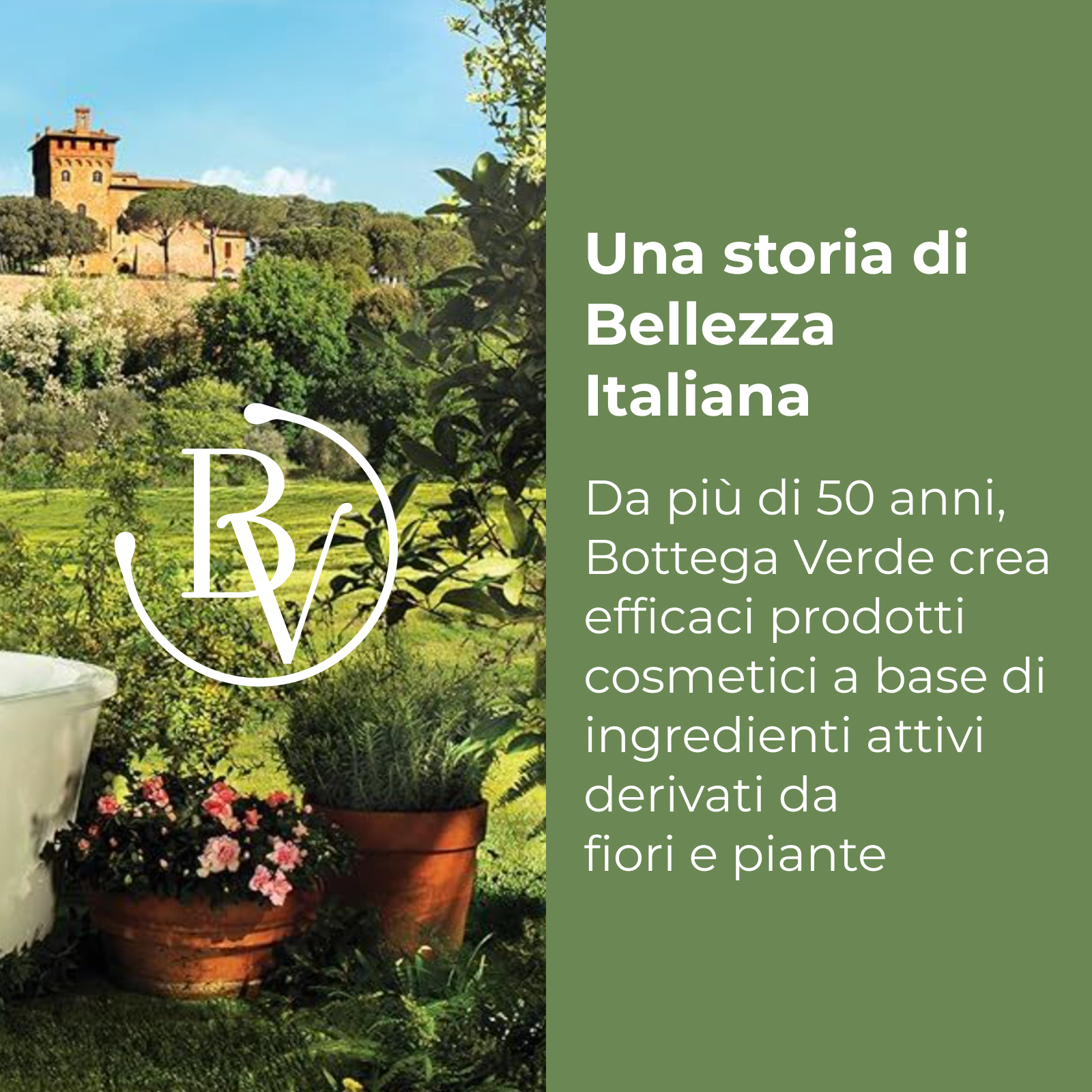 SOL Sempre Estate - Crema viso autoabbronzante con estratti di Papaya e Mango -  colorito dorato e naturale tutto l'anno