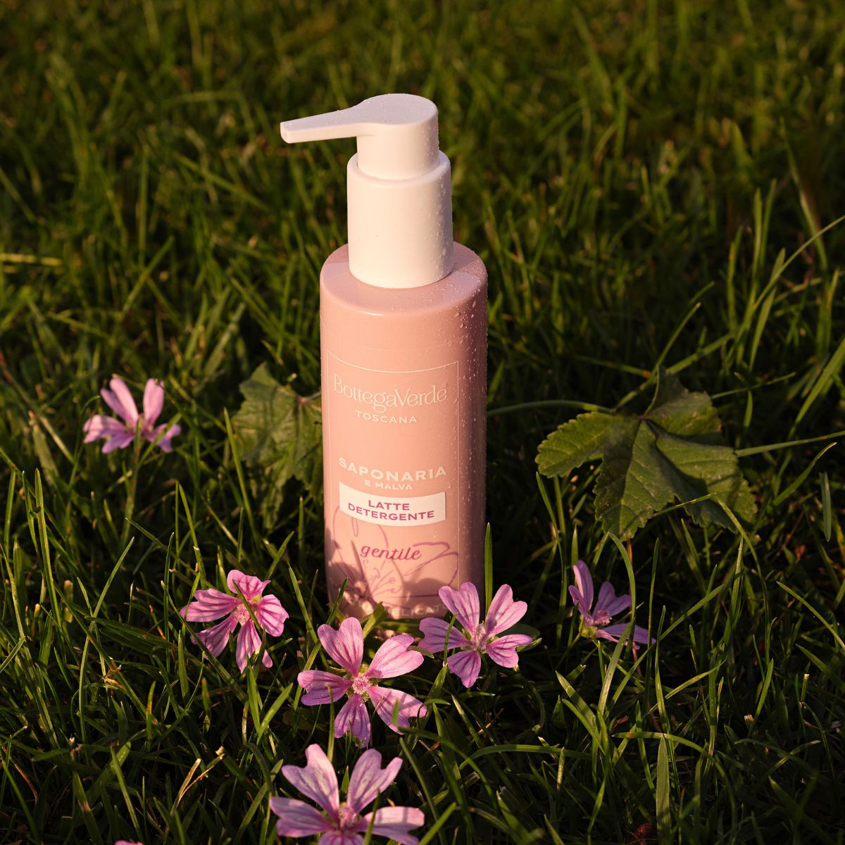 SAPONARIA and MALLOW - Cleansing milk - ultra delicate - gentle (200 ml)