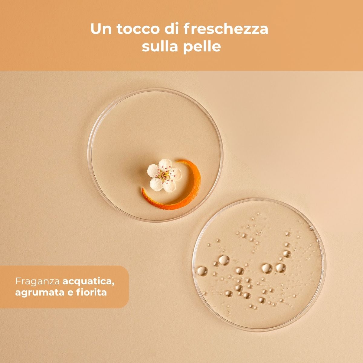 Vitamina C + Biancospino - Ricarica Crema viso giorno idratante antimacchia SPF50 - con Vitamina C, Biancospino e Cybright - riduce l'intensit&agrave; delle macchie