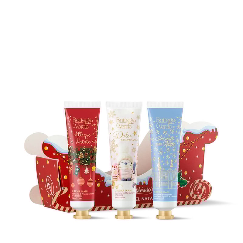 Christmas Sleigh