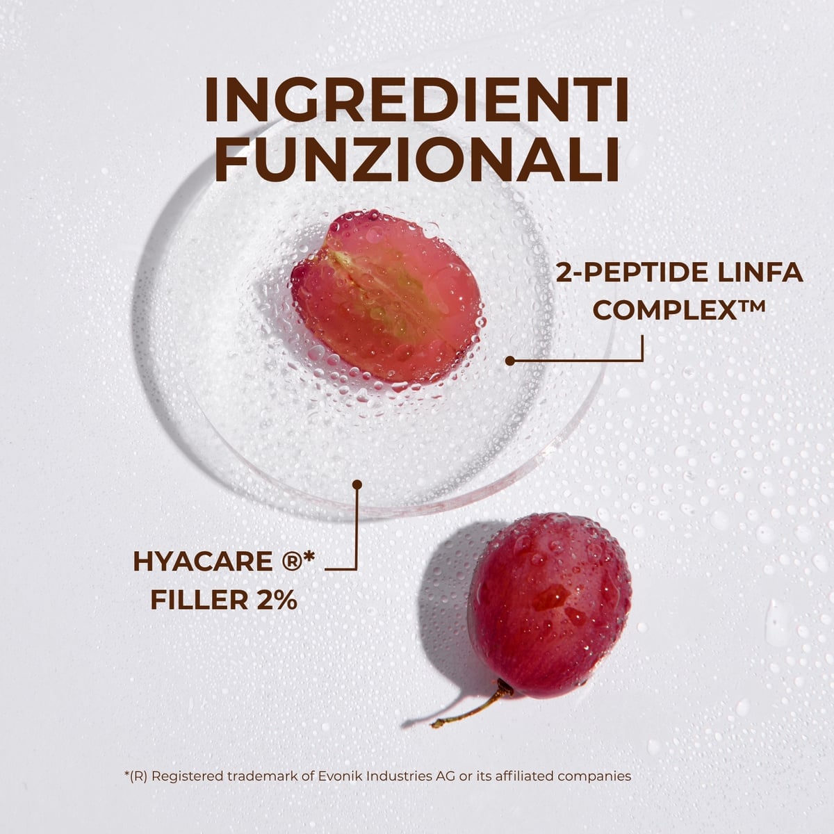 Linfa di Vite - La crema sublime - RICARICA Trattamento viso antirughe giorno e notte - effetto filler su tutti i tipi di rughe - 2-PEPTIDE LINFA COMPLEX<TM/> con Peptidi e Linfa di Vite - tutti i tipi di pelle