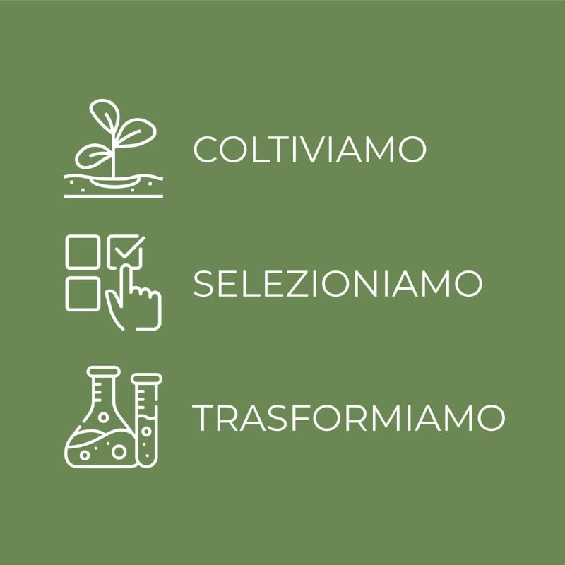 Siero ampolla anti-rossori - concentrato viso - con 5% Anti-redness complex* e iperfermentato di Malva di Tenuta Bottega Verde - lenitivo