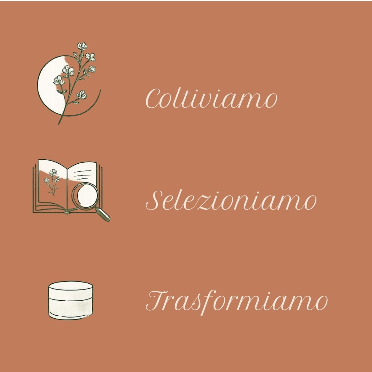 SOL Elicriso - Spray solare - protegge e idrata - con estratto di Elicriso Tenutra Massaini - protezione alta SPF50 - water resistant