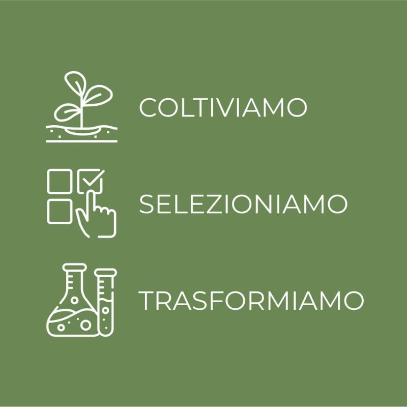 Pistilli di Zafferano - Gocce d'Oro - Siero viso booster di luce - idratante con oro 23 KT - con estratto iperfermentato di Zafferano e Hyaluron complex