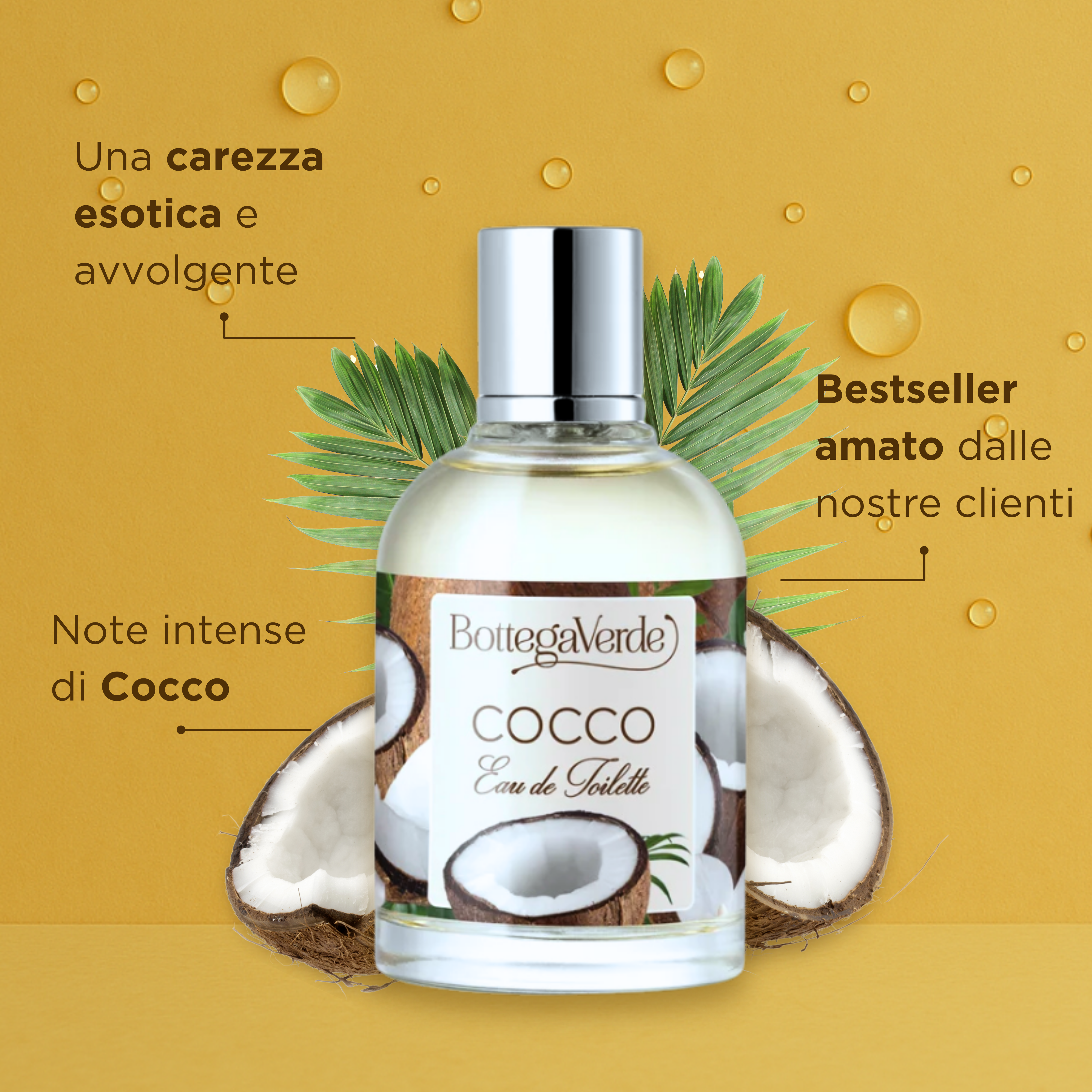 Cocco -  Eau de toilette