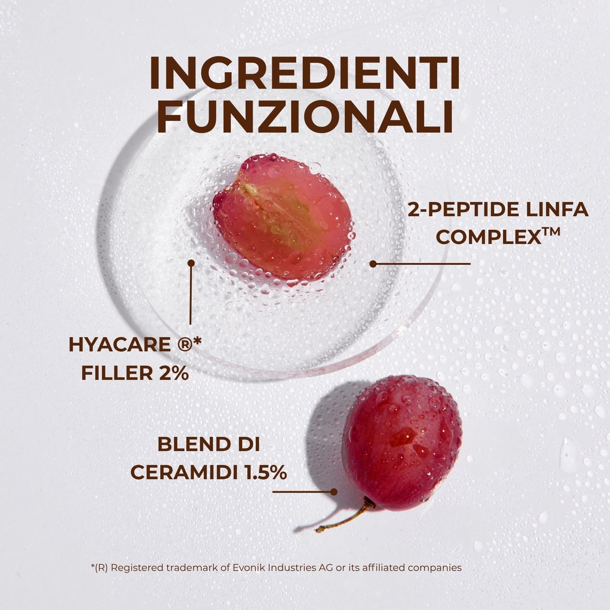 Linfa di Vite - Il Siero sublime - Siero viso e collo - azione su microrughe e rughe del collo - 2-PEPTIDE LINFA COMPLEX<TM/> con Peptidi e Linfa di Vite - tutti i tipi di pelle