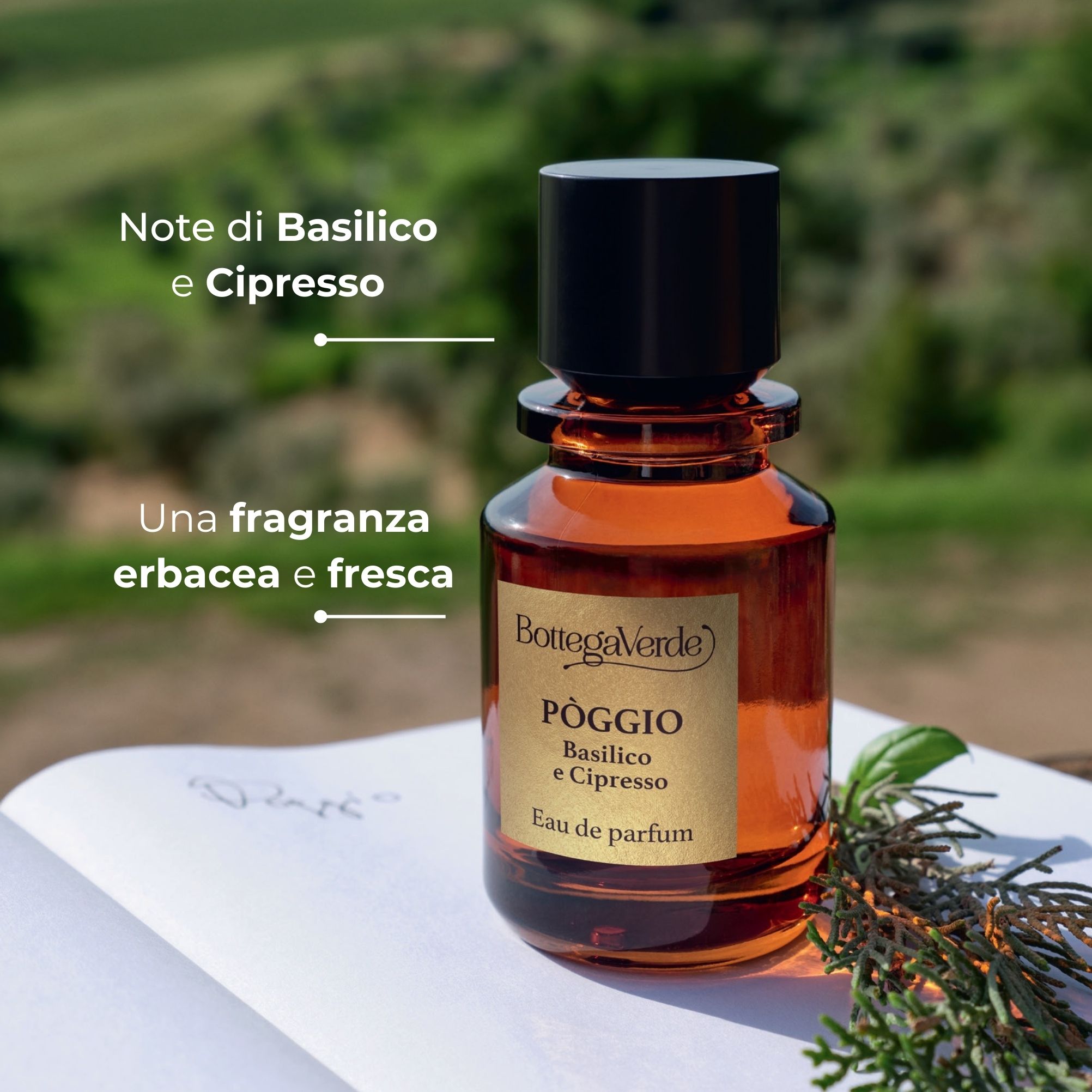 Pòggio - BASILICO E CIPRESSO - Eau de Parfum