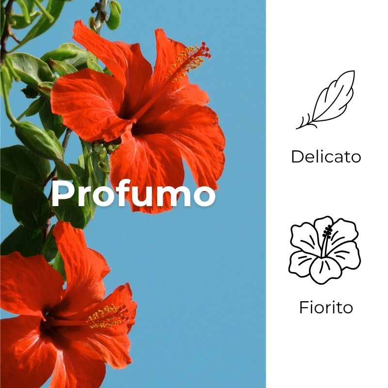 SOL Ibisco Argan - Crema doposole - idrata ed esalta - con olio di Ibisco ed olio di Argan - prolunga l'abbronzatura - cremagel effetto fresco