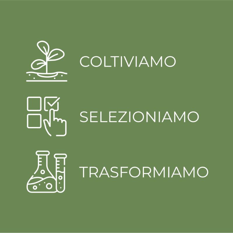 Peeling enzimatico rinnovatore - concentrato viso - con 6% Enzyme Peel complex e iperfermentato di Melograno di Tenuta Bottega Verde - esfoliante