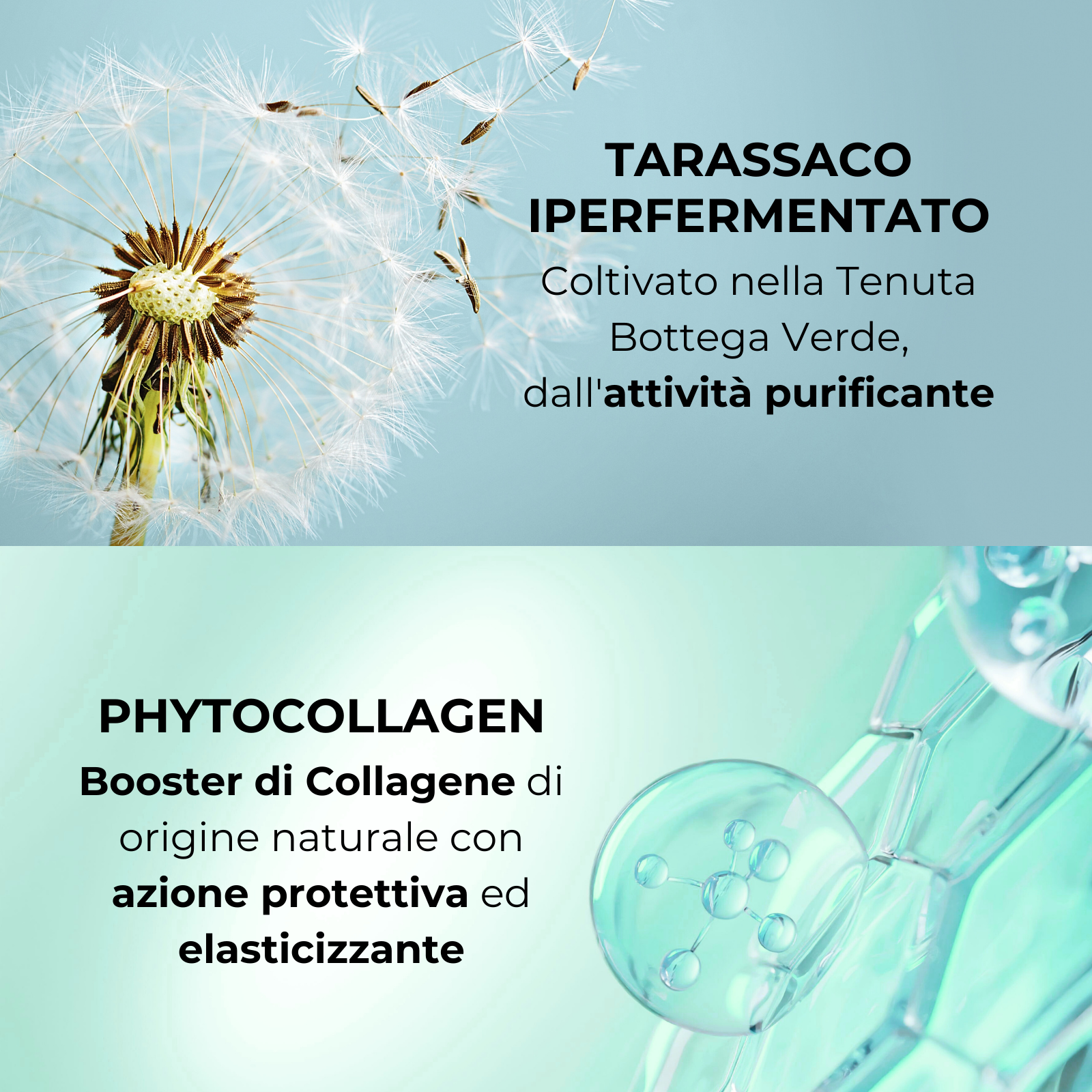 Phytocollagen e Tarassaco iperfermentato - Balsamo - effetto volume - capelli fini e sottili