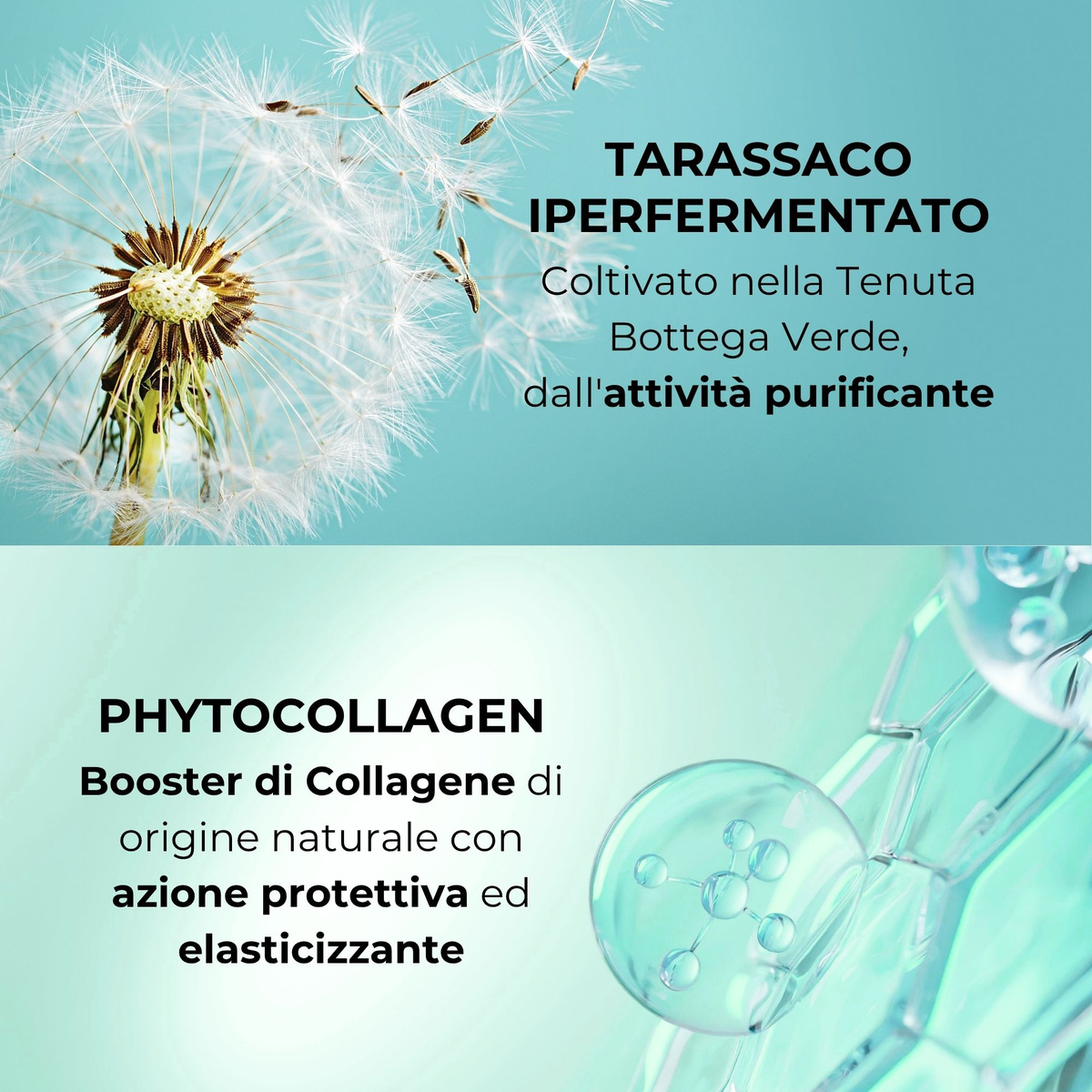 Phytocollagen e Tarassaco iperfermentato - Spray - booster di volume - capelli fini e sottili
