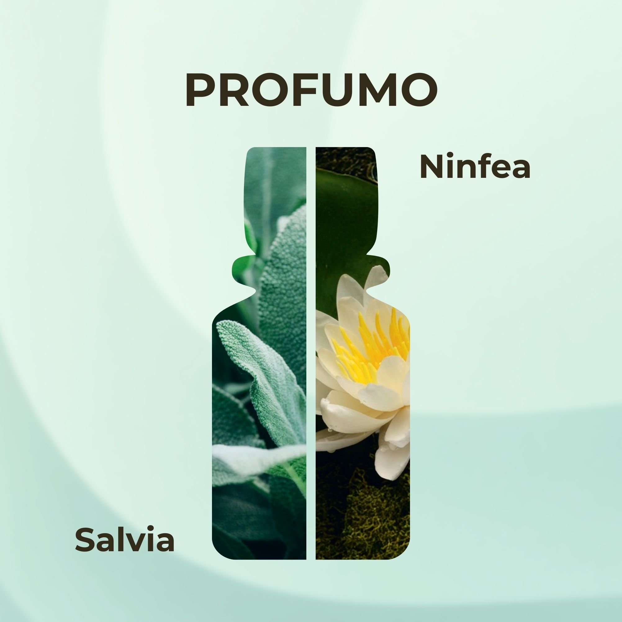 Vèrno - SALVIA E NINFEA - Eau de Parfum
