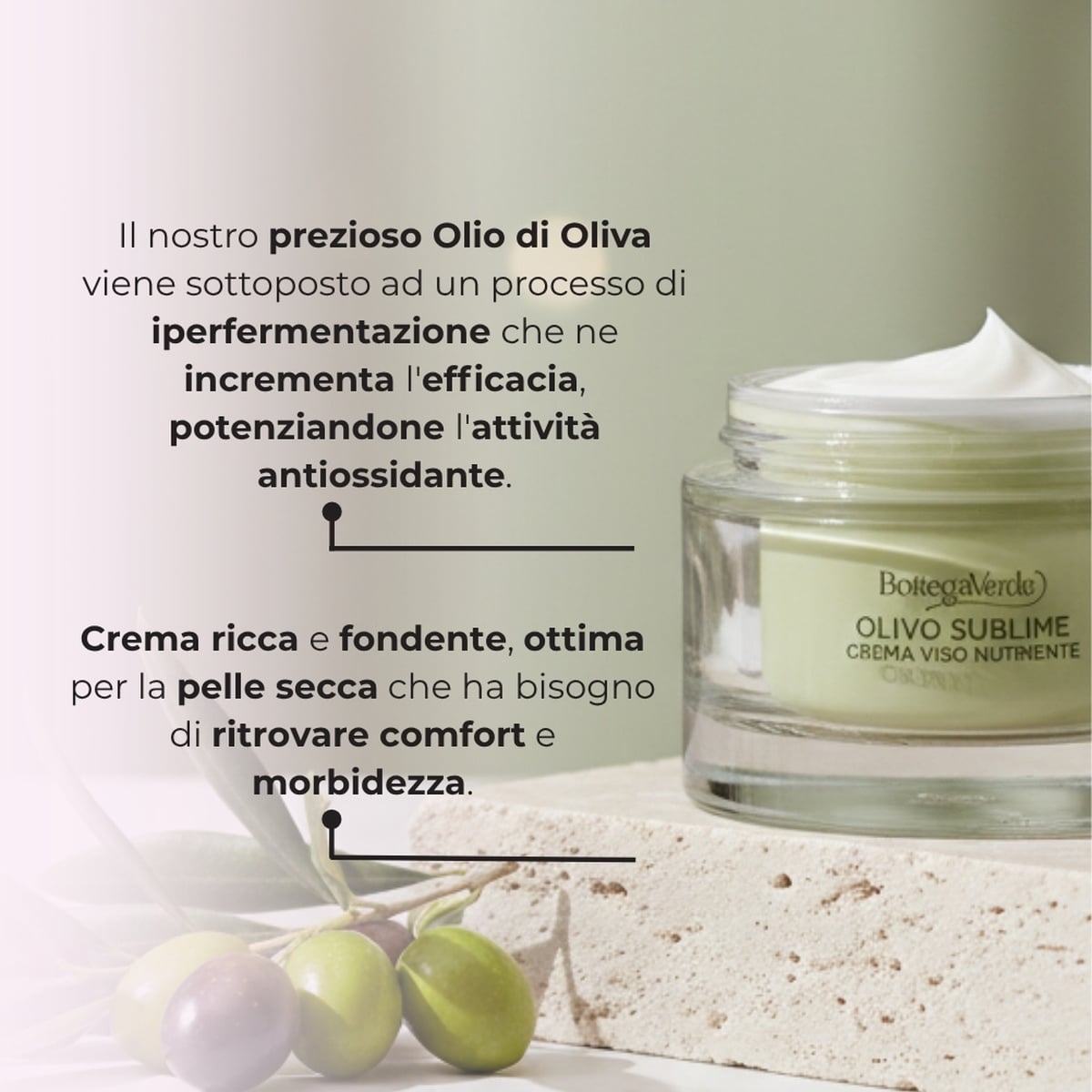 Olivo Sublime - Crema viso - ricarica - nutriente emolliente - con olio di Oliva iperfermentato - pelli normali o secche