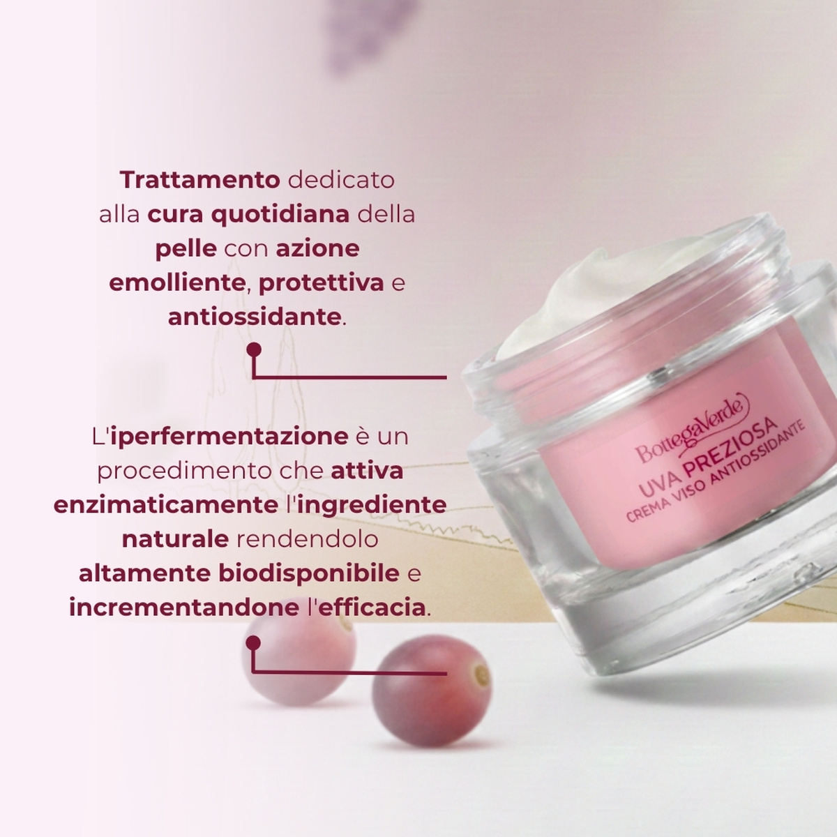 Uva Preziosa - Crema viso antiossidante idratante con estratto iperfermentato di Uva rossa di Tenuta Massaini  - pelli normali